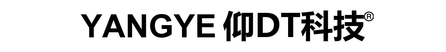 YANGYE 仰DT科技 横式组合LOGO