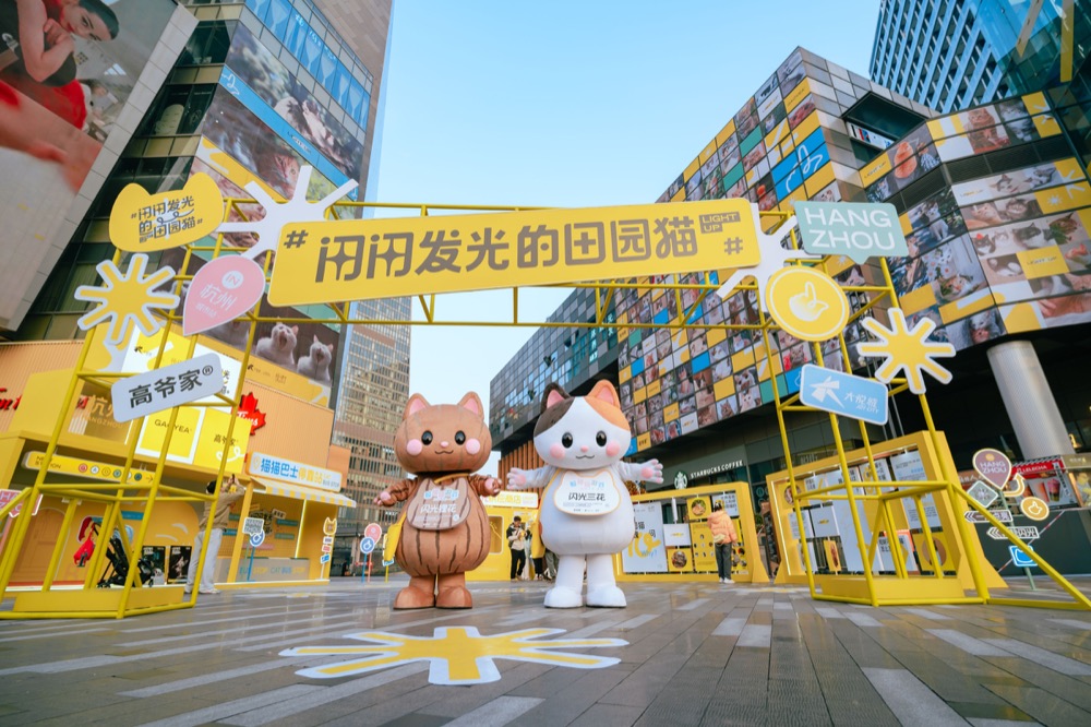 闪闪发光的田园猫